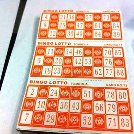 Joc bingo lotto